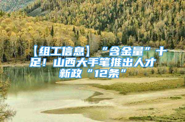 【组工信息】“含金量”十足！山西大手笔推出人才新政“12条”