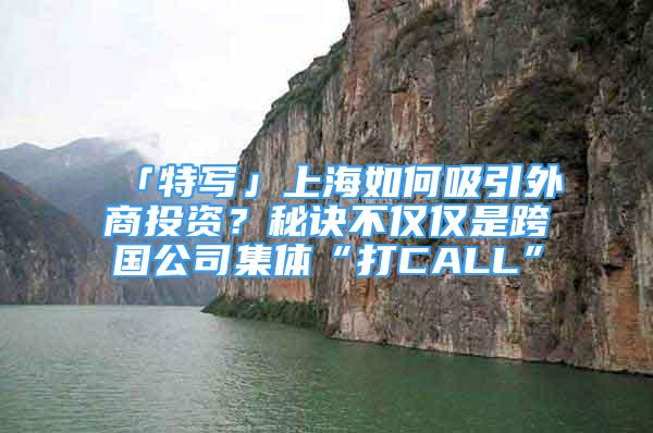 「特写」上海如何吸引外商投资？秘诀不仅仅是跨国公司集体“打CALL”