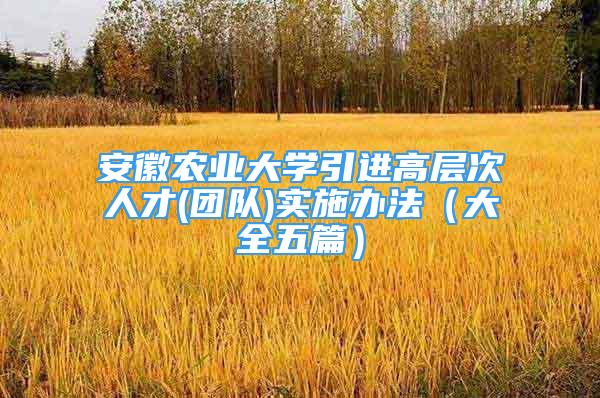 安徽农业大学引进高层次人才(团队)实施办法（大全五篇）