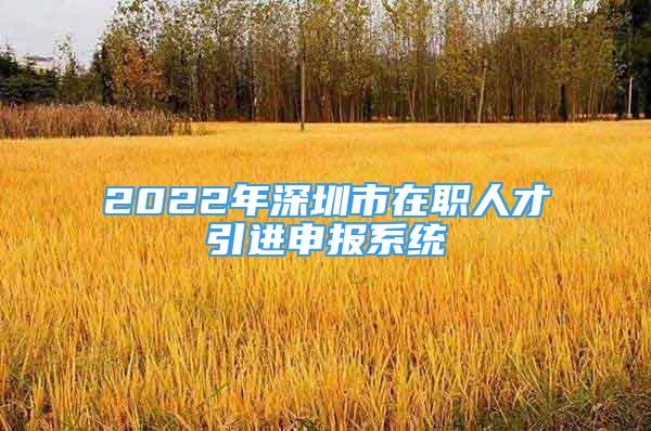 2022年深圳市在职人才引进申报系统