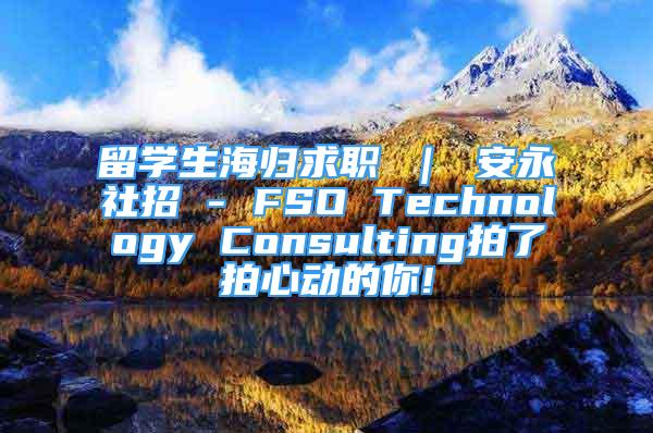 留学生海归求职 ｜ 安永社招 - FSO Technology Consulting拍了拍心动的你!