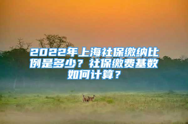 2022年上海社保缴纳比例是多少？社保缴费基数如何计算？