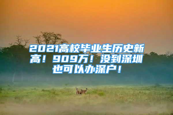 2021高校毕业生历史新高！909万！没到深圳也可以办深户！