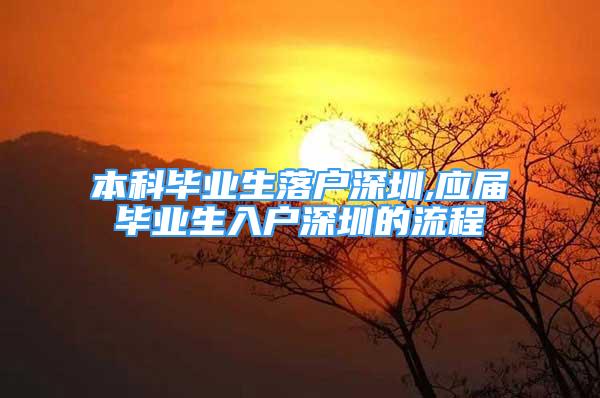 本科毕业生落户深圳,应届毕业生入户深圳的流程