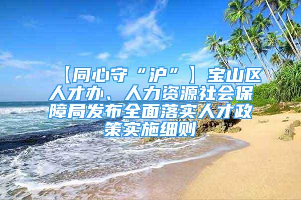 【同心守“沪”】宝山区人才办、人力资源社会保障局发布全面落实人才政策实施细则