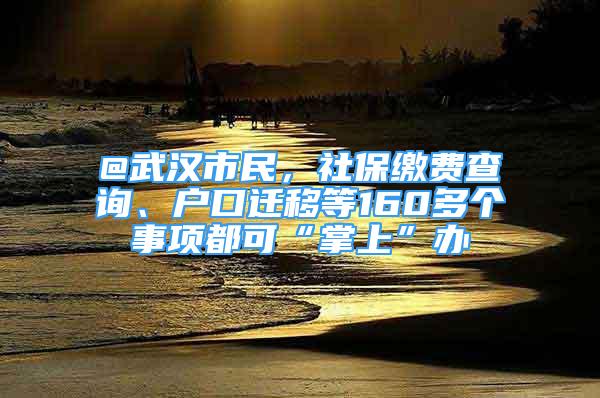 @武汉市民，社保缴费查询、户口迁移等160多个事项都可“掌上”办