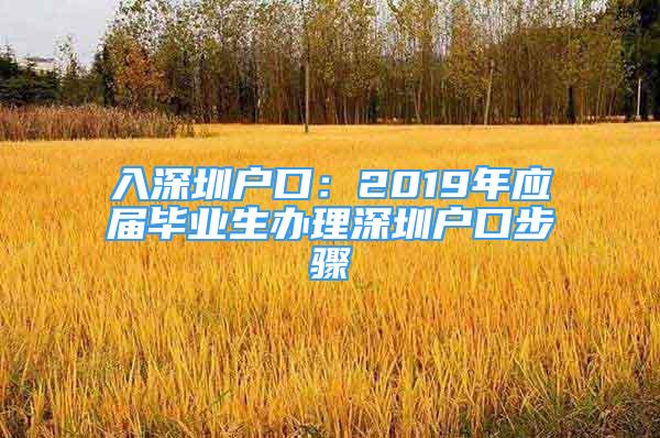 入深圳户口：2019年应届毕业生办理深圳户口步骤