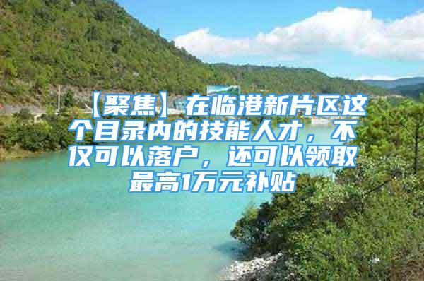 【聚焦】在临港新片区这个目录内的技能人才，不仅可以落户，还可以领取最高1万元补贴