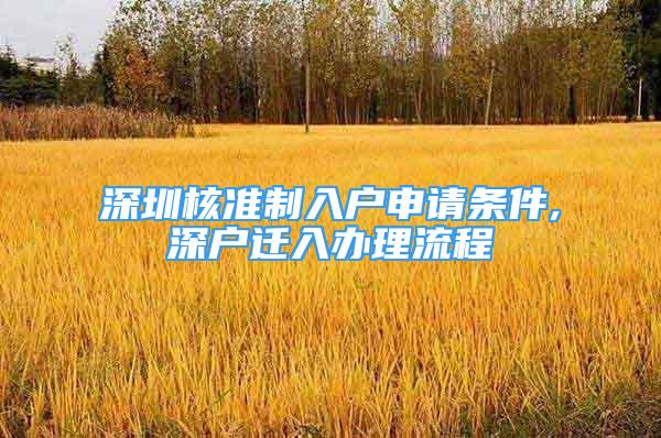 深圳核准制入户申请条件,深户迁入办理流程