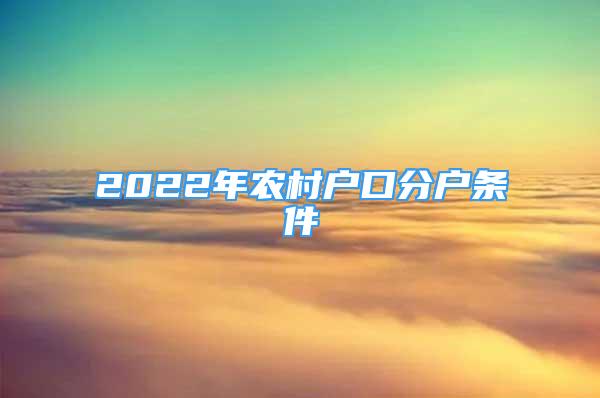 2022年农村户口分户条件