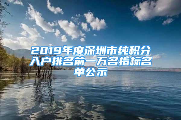 2019年度深圳市纯积分入户排名前一万名指标名单公示