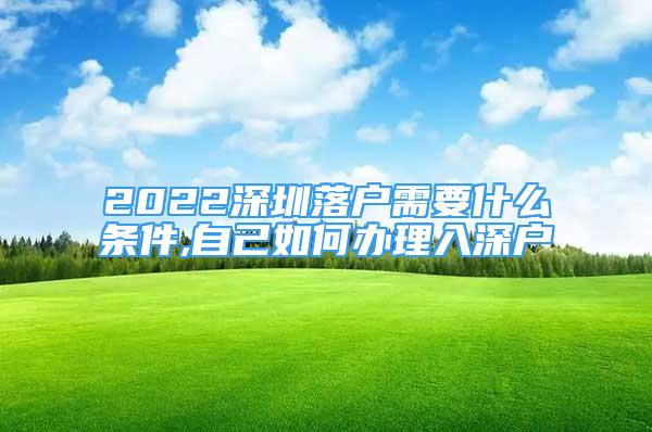 2022深圳落户需要什么条件,自己如何办理入深户