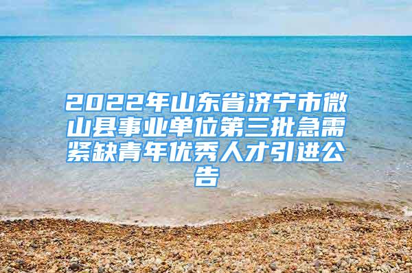 2022年山东省济宁市微山县事业单位第三批急需紧缺青年优秀人才引进公告