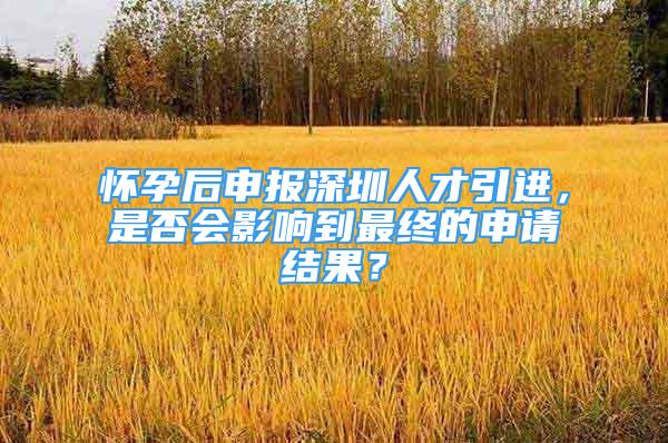 怀孕后申报深圳人才引进，是否会影响到最终的申请结果？