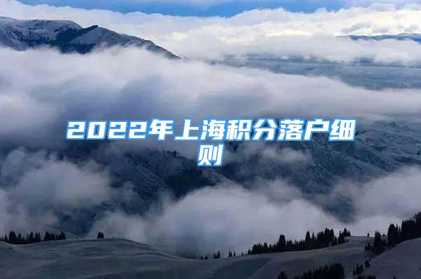 2022年上海积分落户细则