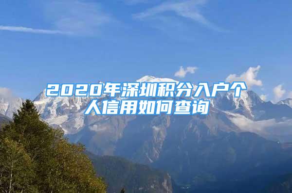 2020年深圳积分入户个人信用如何查询