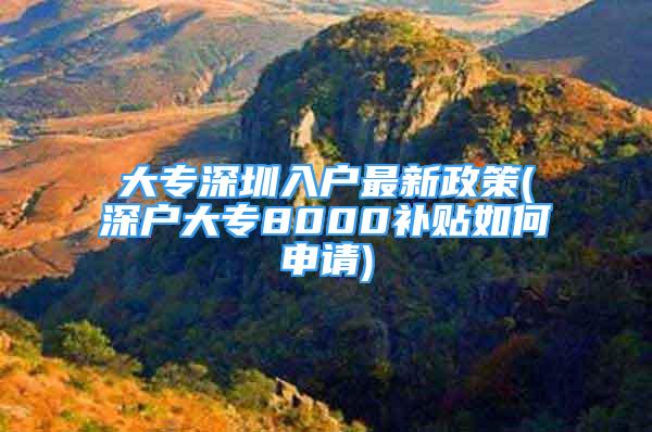 大专深圳入户最新政策(深户大专8000补贴如何申请)