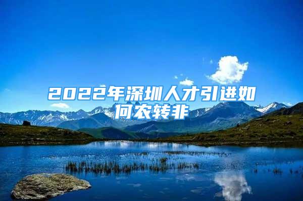 2022年深圳人才引进如何农转非