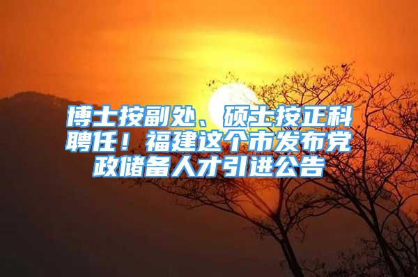 博士按副处、硕士按正科聘任！福建这个市发布党政储备人才引进公告