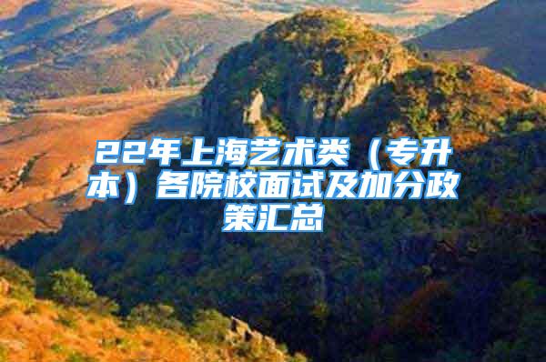 22年上海艺术类（专升本）各院校面试及加分政策汇总