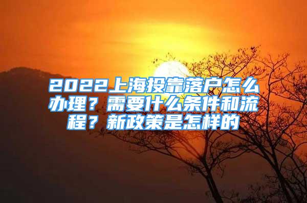 2022上海投靠落户怎么办理？需要什么条件和流程？新政策是怎样的