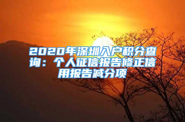 2020年深圳入户积分查询：个人征信报告修正信用报告减分项