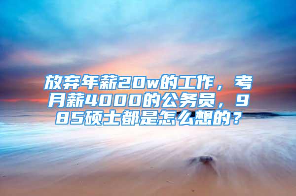 放弃年薪20w的工作，考月薪4000的公务员，985硕士都是怎么想的？