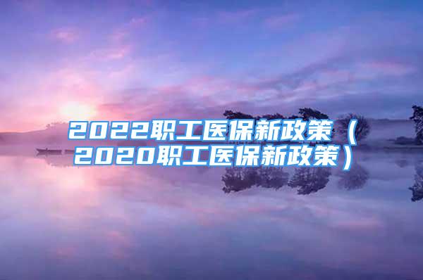 2022职工医保新政策（2020职工医保新政策）