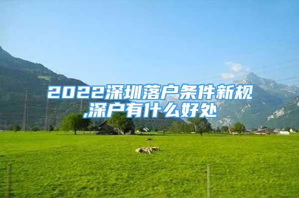 2022深圳落户条件新规,深户有什么好处