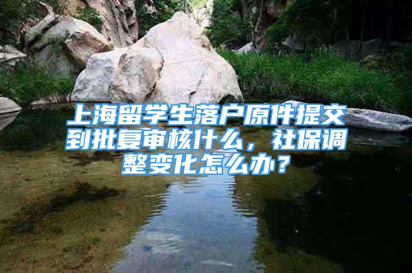 上海留学生落户原件提交到批复审核什么，社保调整变化怎么办？