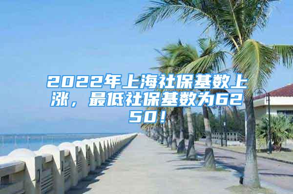 2022年上海社保基数上涨，最低社保基数为6250！