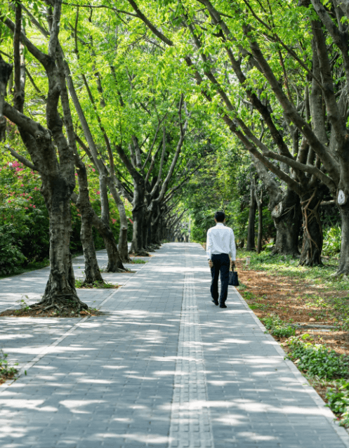 深圳经济特区居住证申领条件（2019年11月更新）