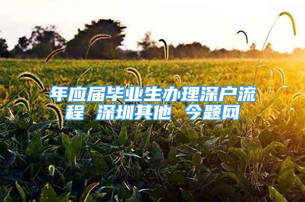 年应届毕业生办理深户流程 深圳其他 今题网