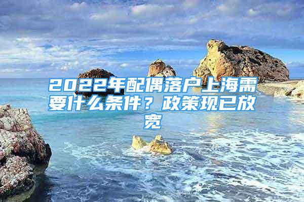 2022年配偶落户上海需要什么条件？政策现已放宽