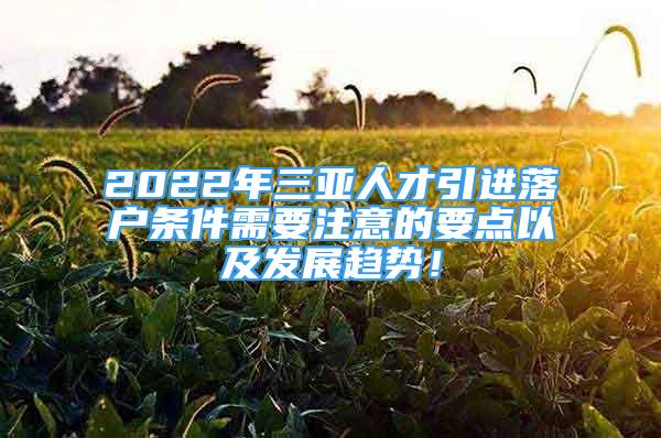 2022年三亚人才引进落户条件需要注意的要点以及发展趋势！