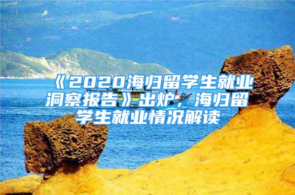 《2020海归留学生就业洞察报告》出炉，海归留学生就业情况解读