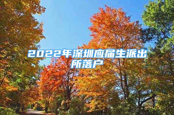 2022年深圳应届生派出所落户