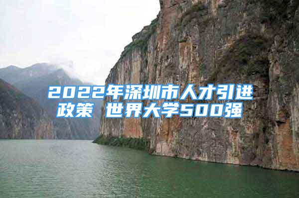 2022年深圳市人才引进政策 世界大学500强