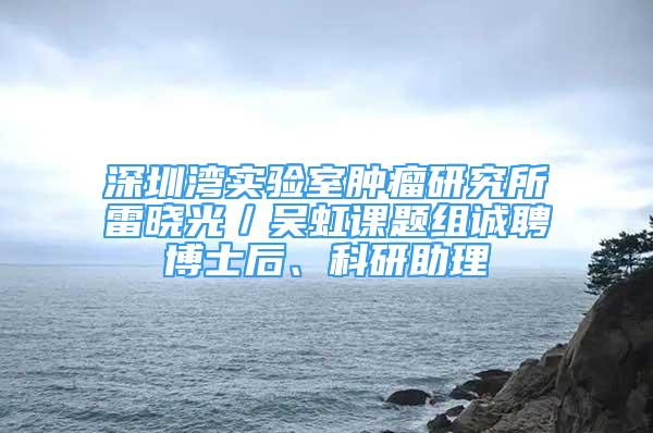 深圳湾实验室肿瘤研究所雷晓光／吴虹课题组诚聘博士后、科研助理