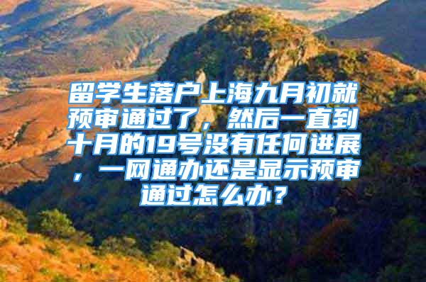 留学生落户上海九月初就预审通过了，然后一直到十月的19号没有任何进展，一网通办还是显示预审通过怎么办？