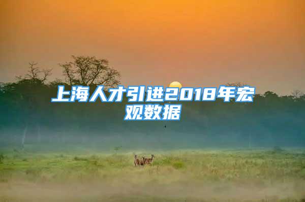 上海人才引进2018年宏观数据