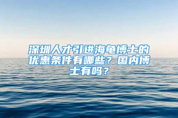 深圳人才引进海龟博士的优惠条件有哪些？国内博士有吗？