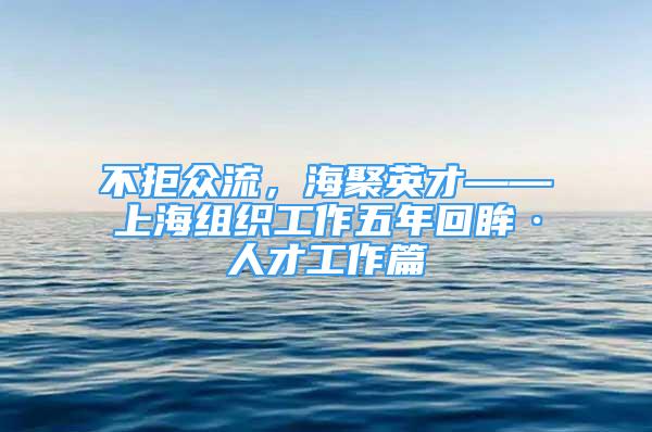 不拒众流，海聚英才——上海组织工作五年回眸·人才工作篇