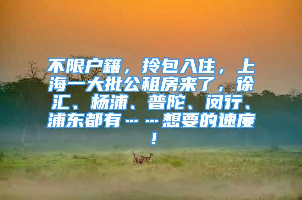 不限户籍，拎包入住，上海一大批公租房来了，徐汇、杨浦、普陀、闵行、浦东都有……想要的速度！