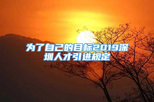 为了自己的目标2019深圳人才引进规定