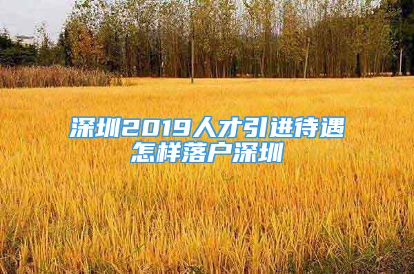 深圳2019人才引进待遇怎样落户深圳