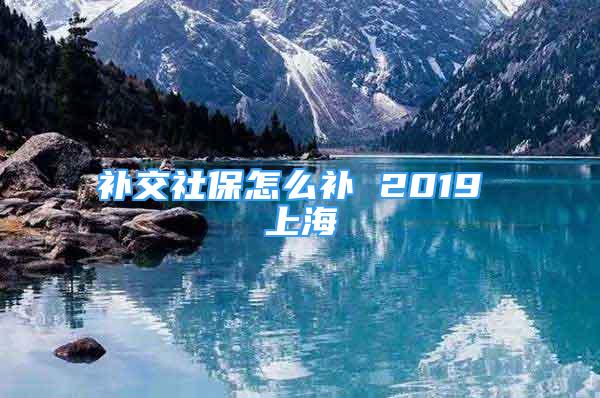 补交社保怎么补 2019 上海