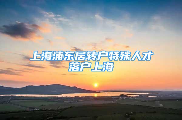 上海浦东居转户特殊人才落户上海