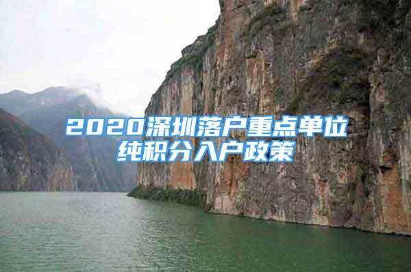 2020深圳落户重点单位纯积分入户政策