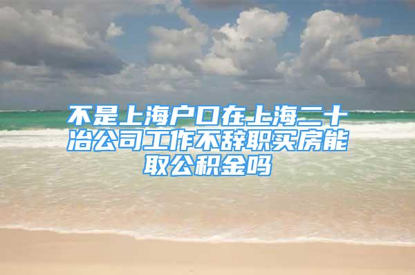 不是上海户口在上海二十冶公司工作不辞职买房能取公积金吗